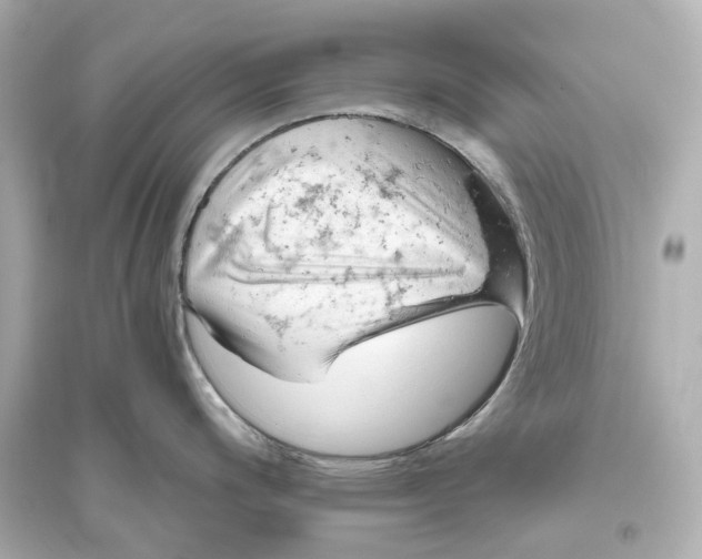 X0000093771200200711131204