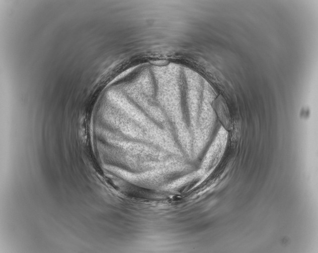 X0000093771202200711131204