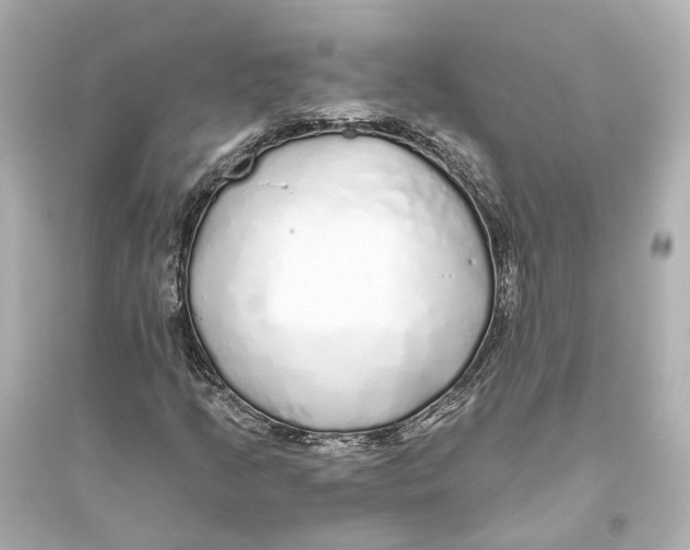 X0000093771205200711131204