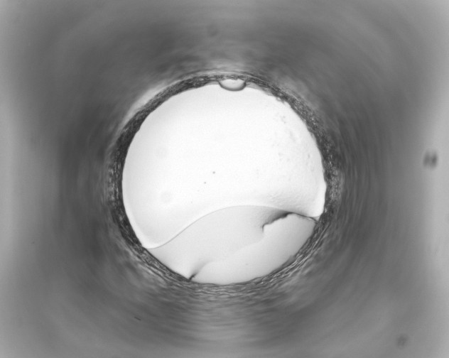 X0000093771208200711131204