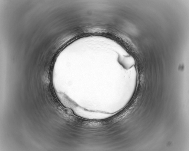 X0000093771209200711131204