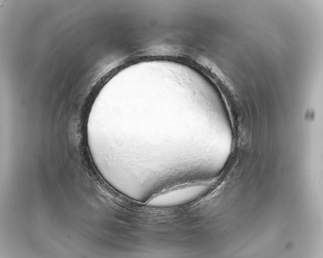 X0000093771213200711131204