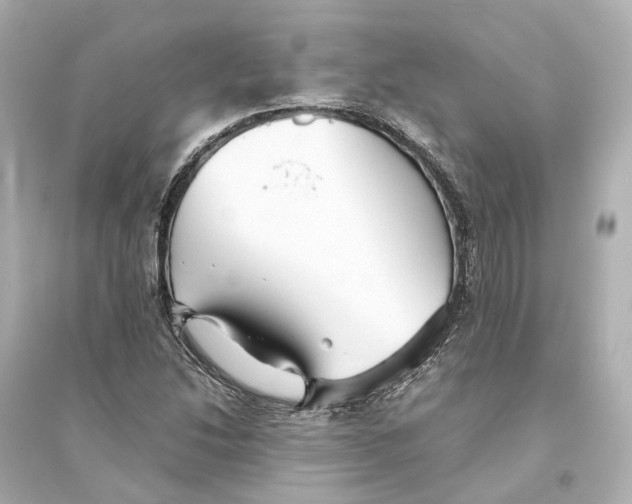 X0000093771214200711131204