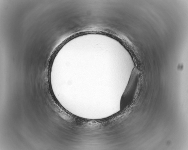 X0000093771216200711131204