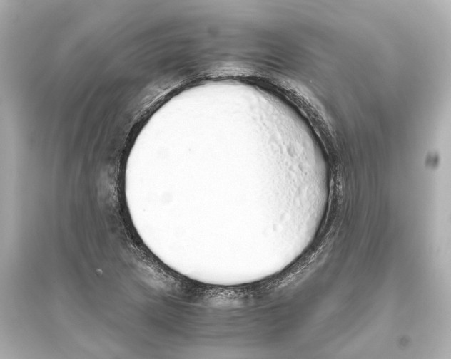 X0000093771217200711131204