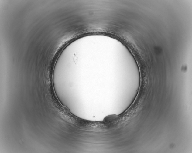 X0000093771218200711131204