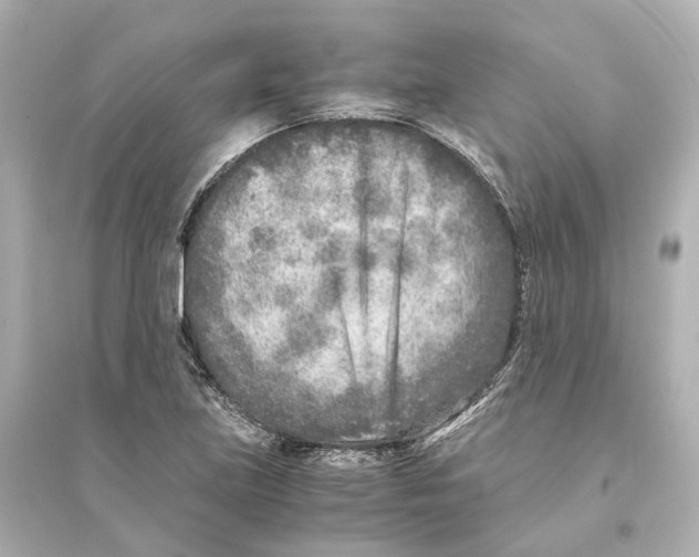 X0000093771219200711131204