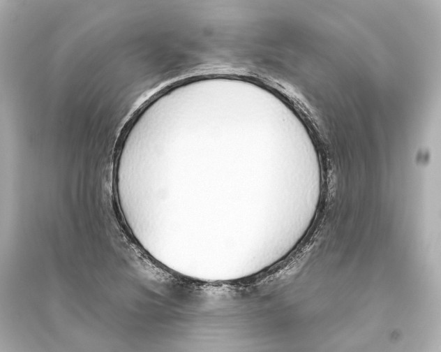 X0000093771220200711131204