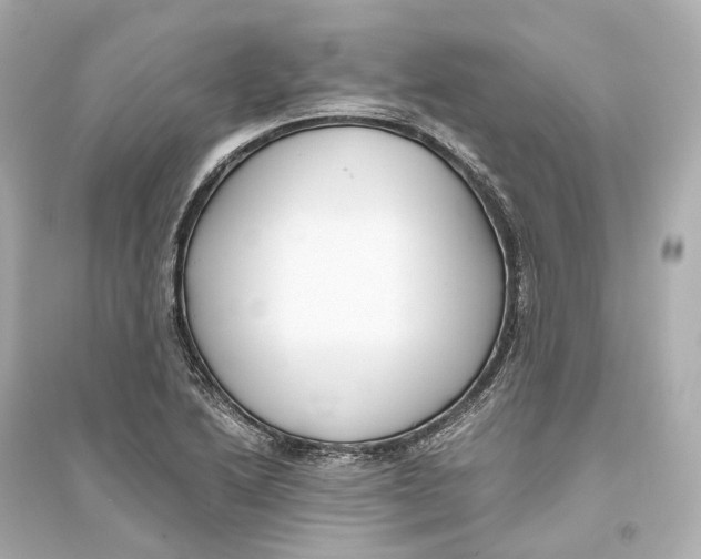 X0000093771222200711131204