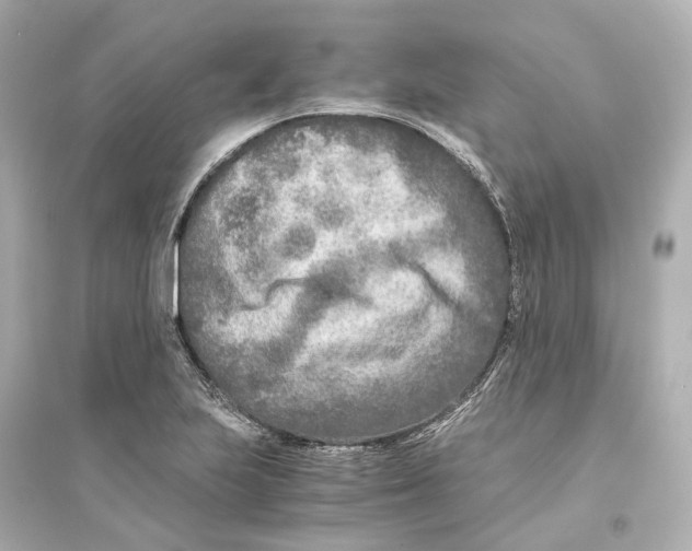 X0000093771223200711131204