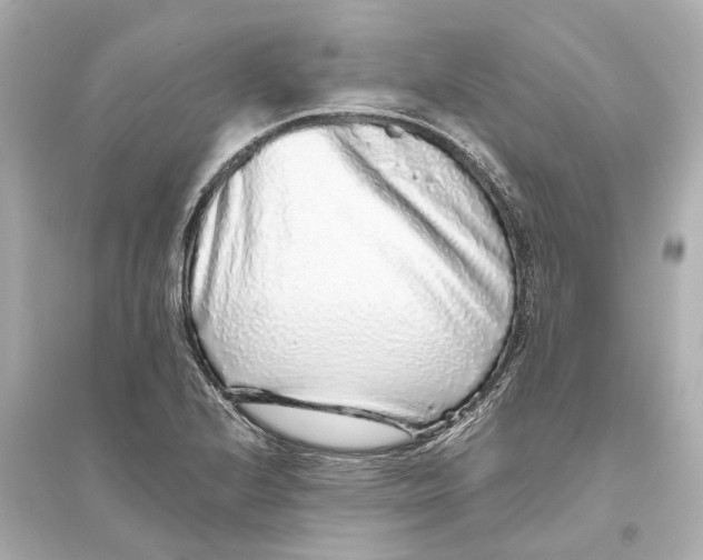 X0000093771224200711131204