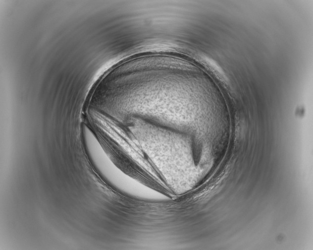 X0000093771226200711131204