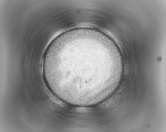 X0000093771227200711131204