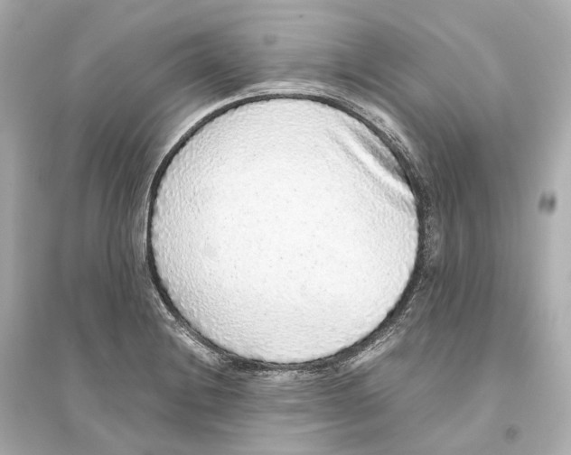 X0000093771228200711131204