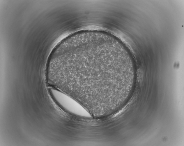 X0000093771229200711131204