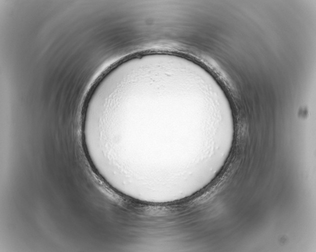 X0000093771232200711131204