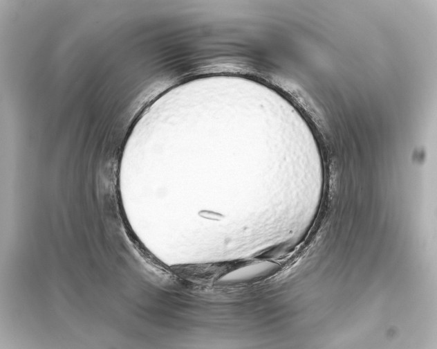 X0000093771233200711131204