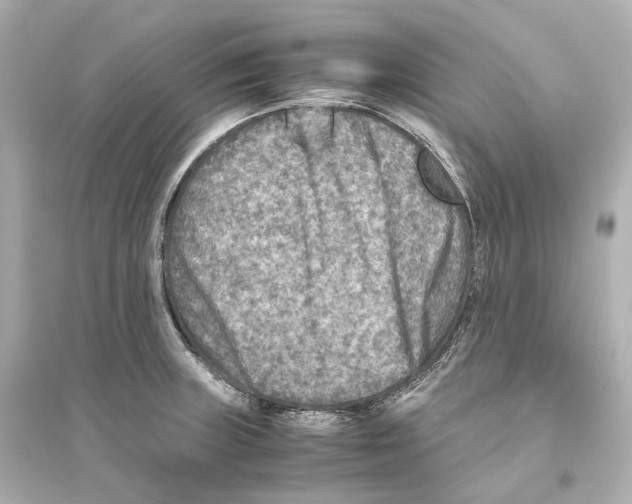 X0000093771235200711131204