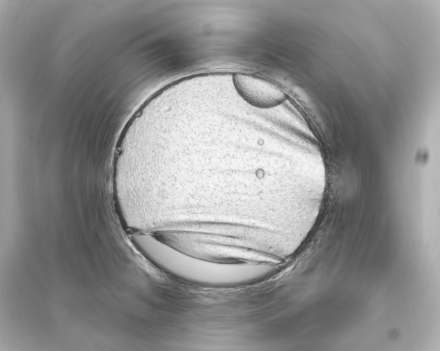 X0000093771236200711131204