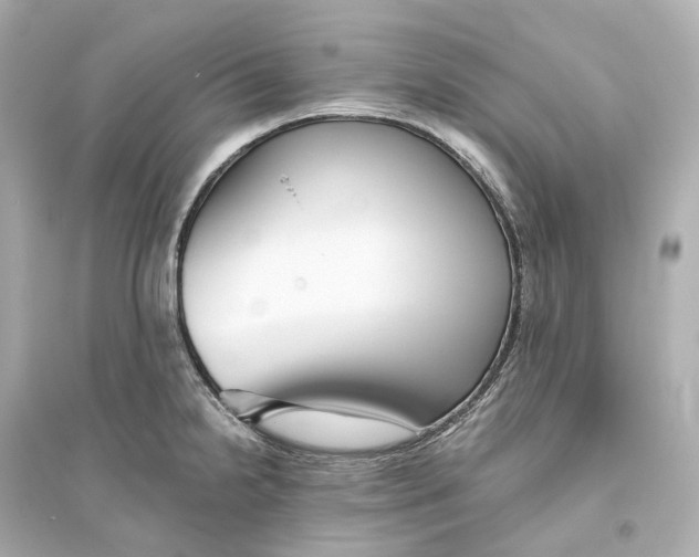 X0000093771238200711131204