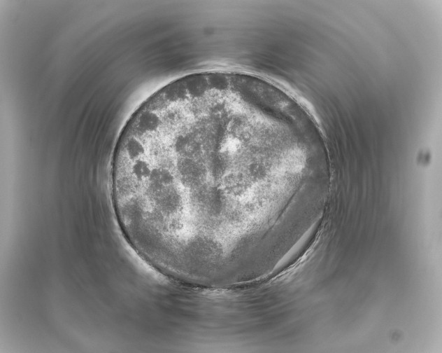 X0000093771239200711131204