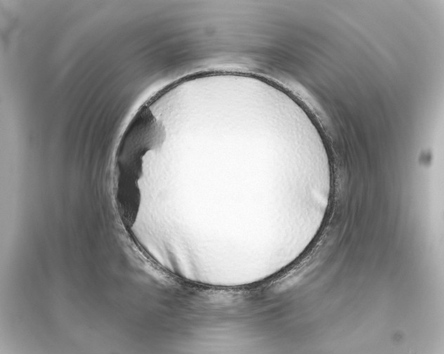 X0000093771240200711131204