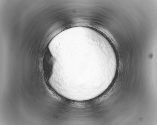 X0000093771241200711131204