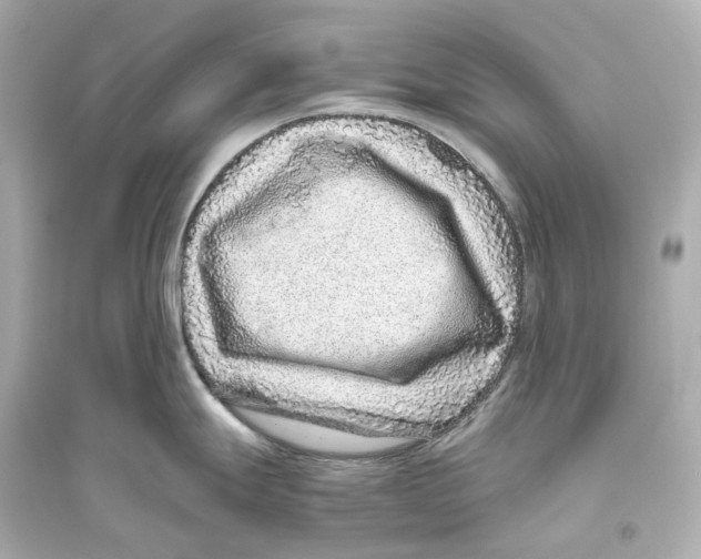 X0000093771247200711131204