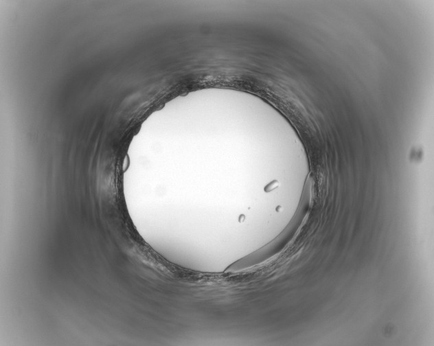 X0000093771250200711131204