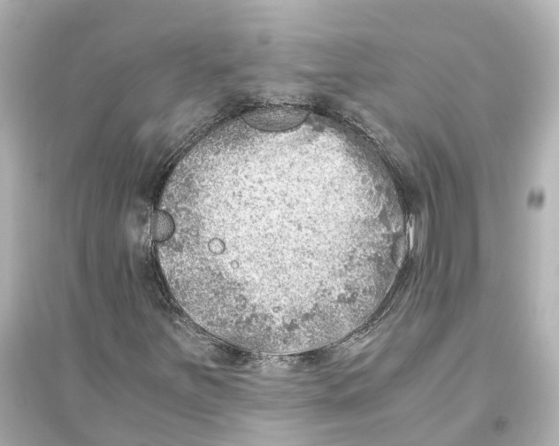 X0000093771251200711131204