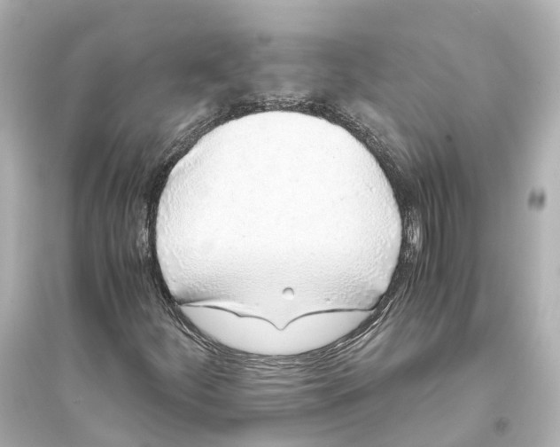 X0000093771252200711131204