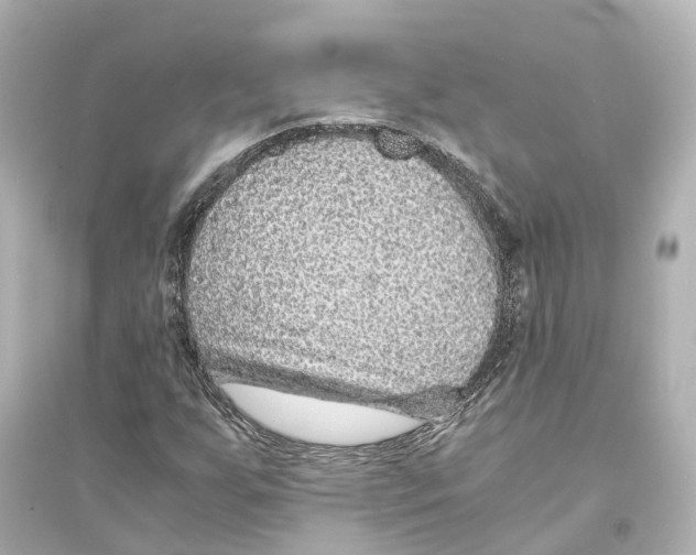 X0000093771255200711131204