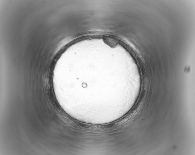 X0000093771259200711131204