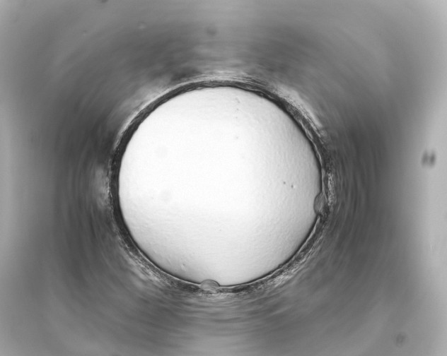 X0000093771260200711131203