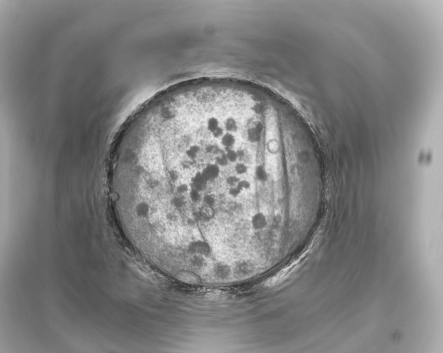 X0000093771263200711131203