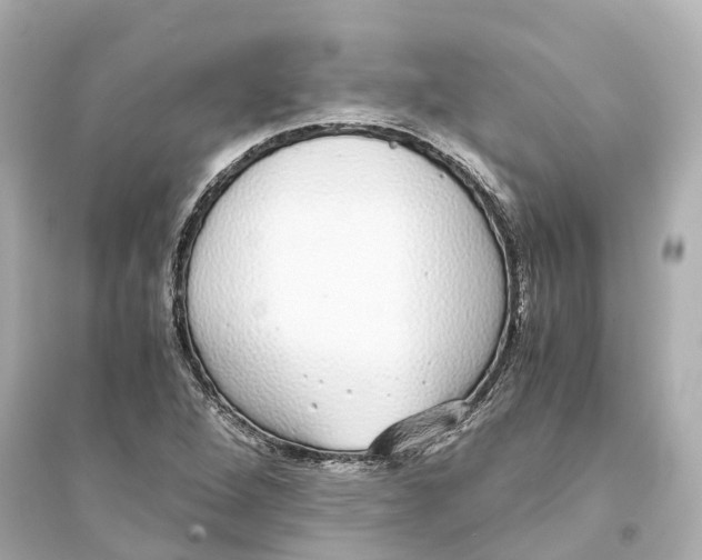 X0000093771264200711131203