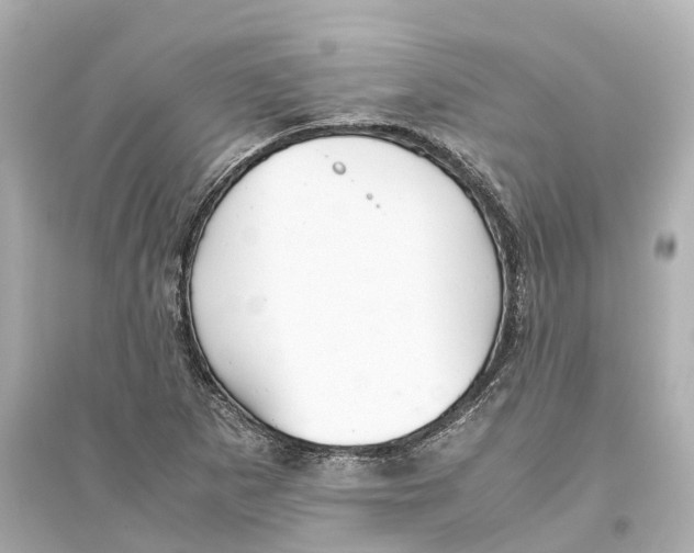 X0000093771265200711131203