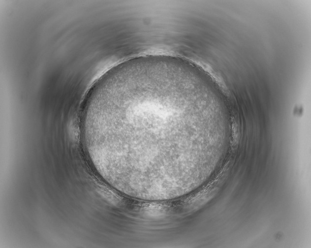 X0000093771266200711131203