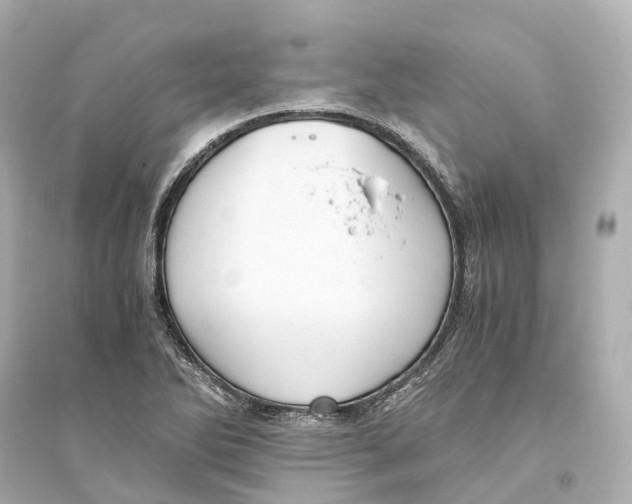 X0000093771270200711131203