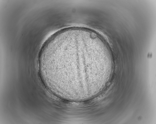 X0000093771271200711131203