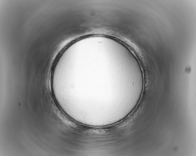 X0000093771272200711131203