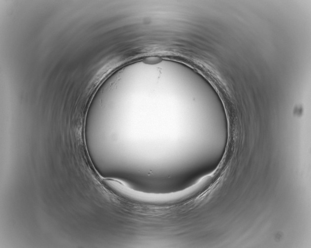 X0000093771273200711131203