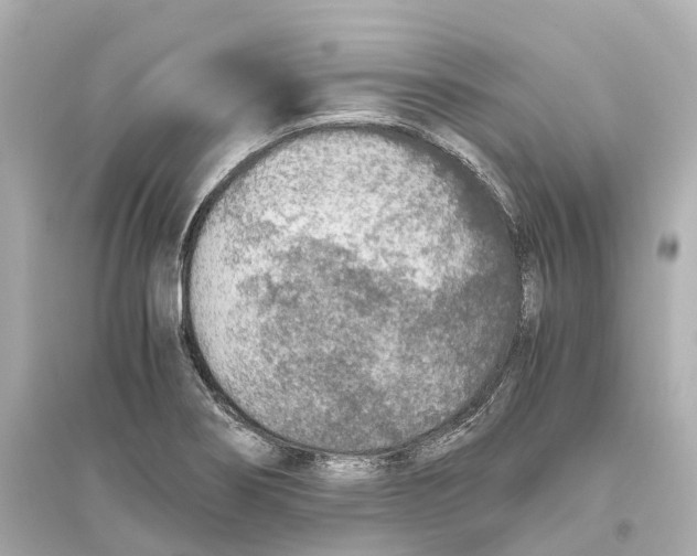 X0000093771274200711131203