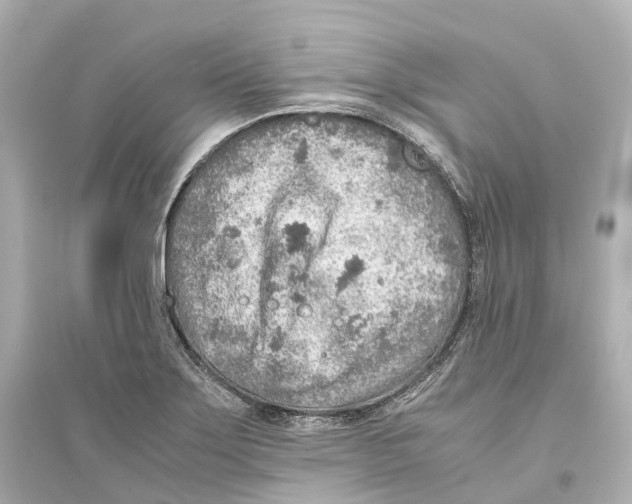 X0000093771275200711131203