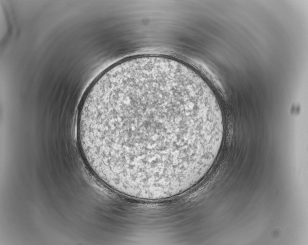 X0000093771276200711131203