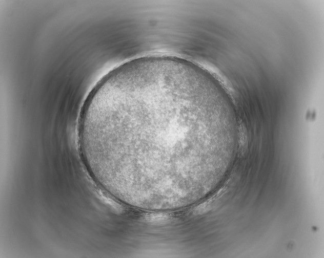 X0000093771278200711131203