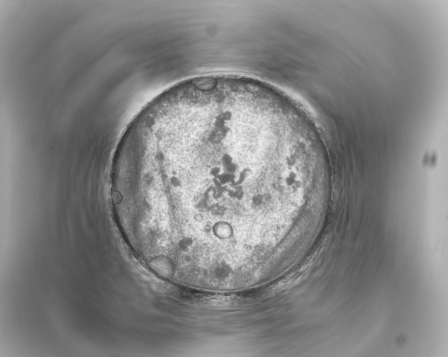 X0000093771279200711131203