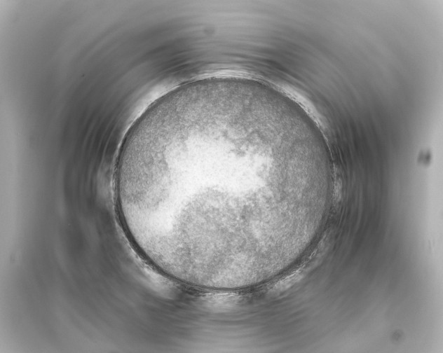 X0000093771282200711131203