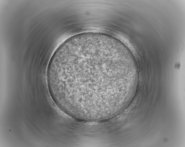 X0000093771283200711131203