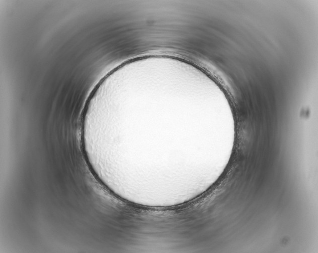 X0000093771284200711131203